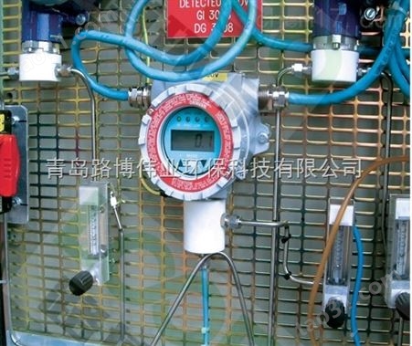 美国华瑞泵吸式FGM-2001有机气体探测器（RAEGuard 2）