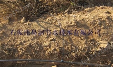 节水设备-选宁乡县果园节水灌溉|滴灌管|小管出流