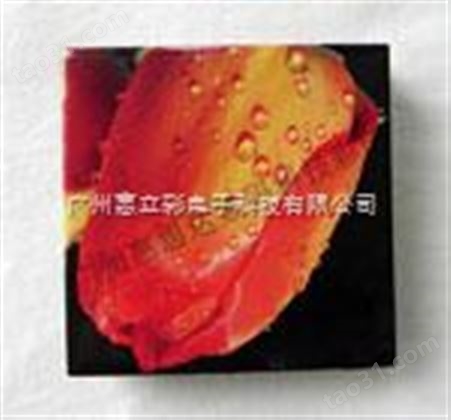 广州瓷砖瓷器喷墨数码打印机价格