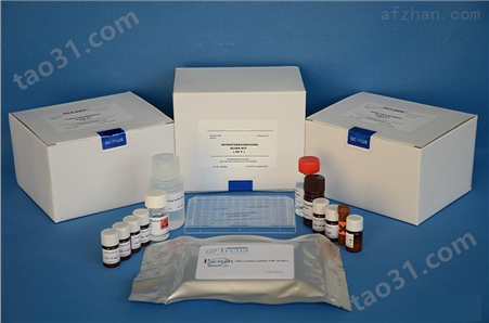 兔白介素8受体α（IL8Rα）ELISA试剂盒